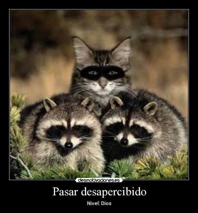 Pasar desapercibido -