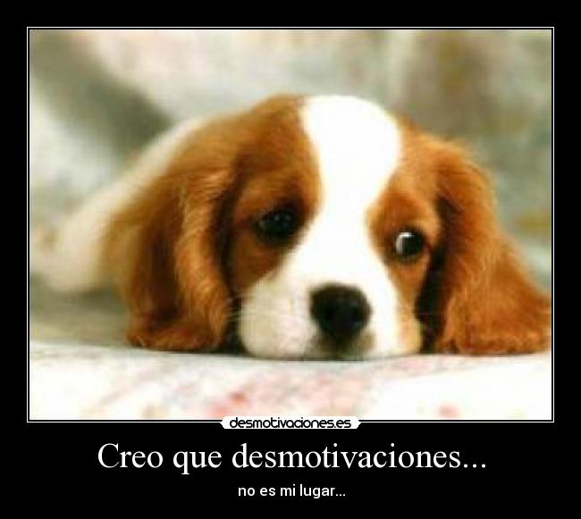 Creo que desmotivaciones... - 