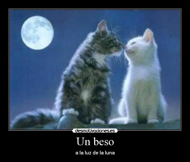 Un beso - a la luz de la luna