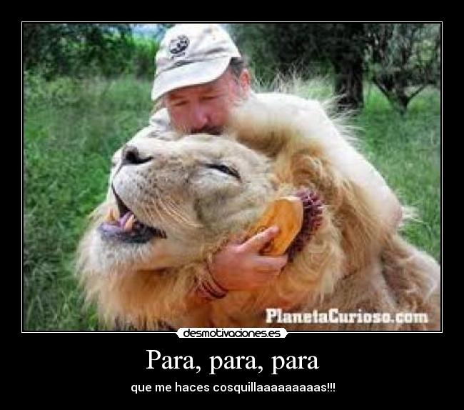 Para, para, para - que me haces cosquillaaaaaaaaas!!!