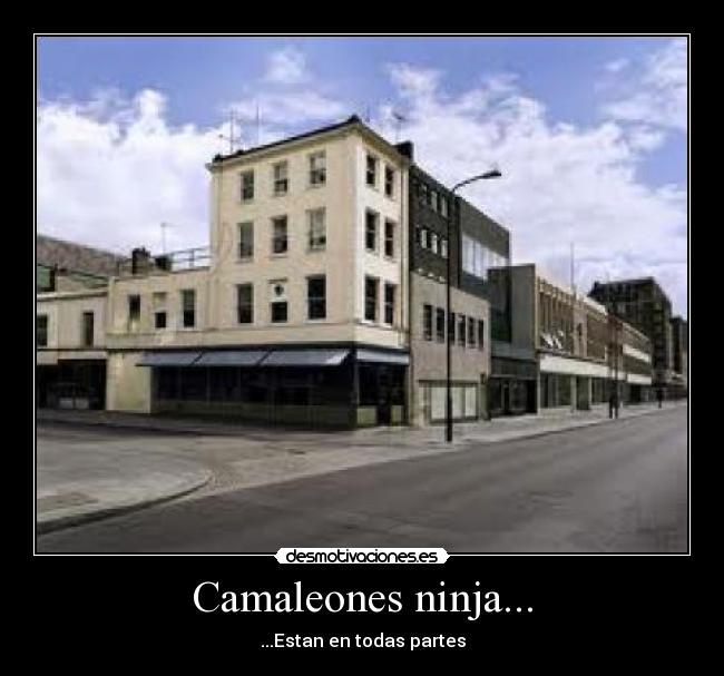 Camaleones ninja... - ...Estan en todas partes