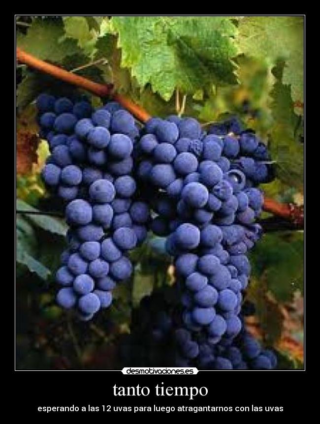 tanto tiempo - esperando a las 12 uvas para luego atragantarnos con las uvas