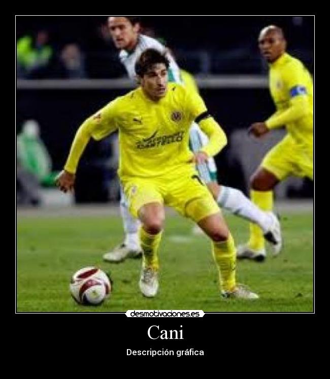 Cani - Descripción gráfica
