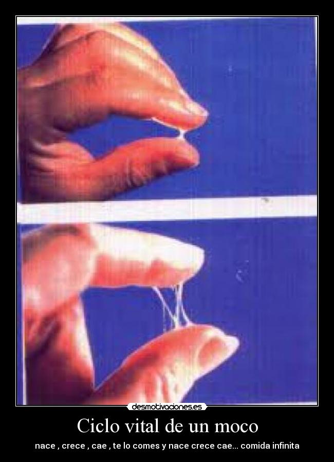 carteles mocos desmotivaciones