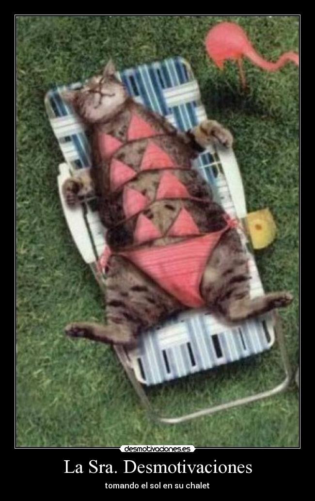 La Sra. Desmotivaciones -