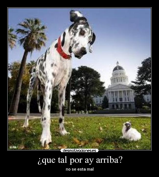 ¿que tal por ay arriba? -