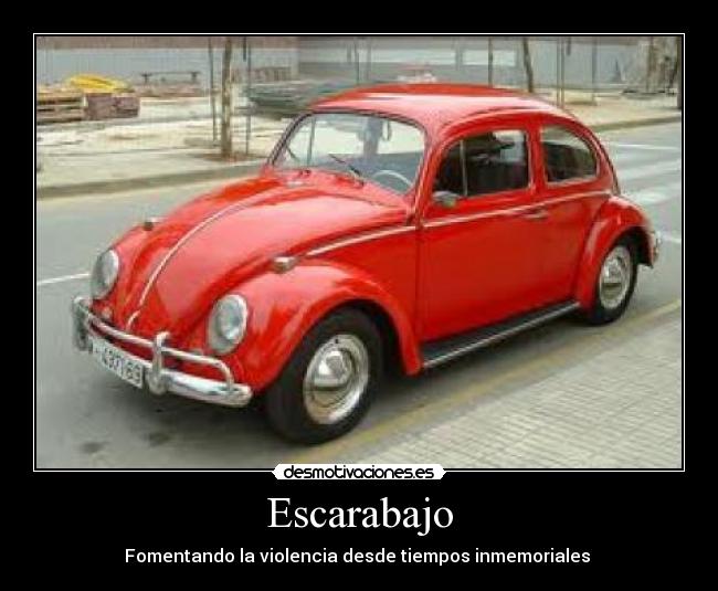 Escarabajo - 