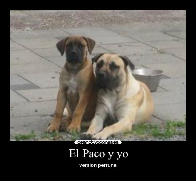 El Paco y yo - version perruna

