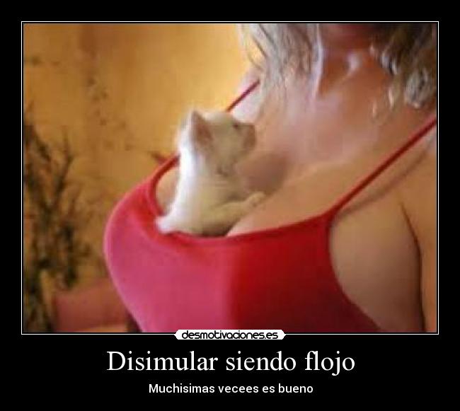 Disimular siendo flojo - Muchisimas vecees es bueno