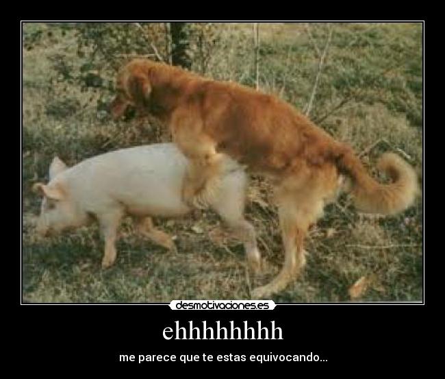 ehhhhhhhh - me parece que te estas equivocando...