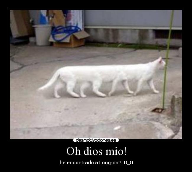 Oh dios mio! - 