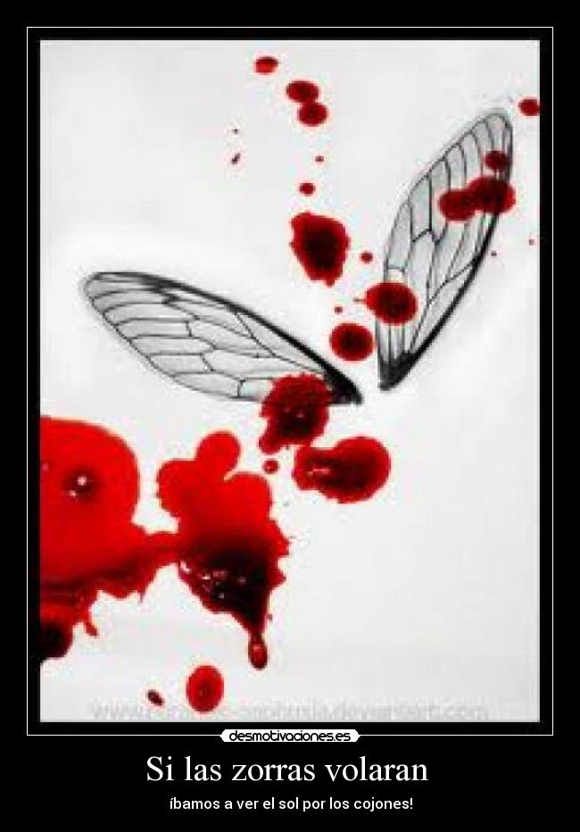 Si las zorras volaran - íbamos a ver el sol por los cojones!