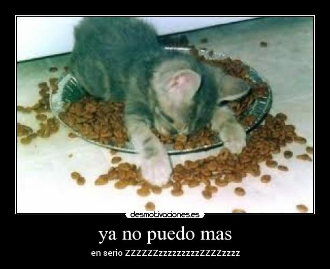 carteles gatos desmotivaciones