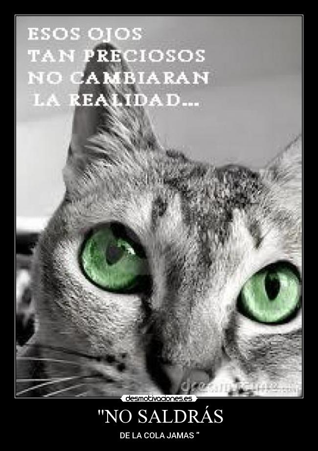 NO SALDRÁS - DE LA COLA JAMAS