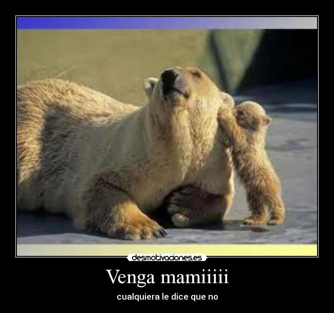Venga mamiiiii -