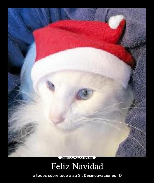 Feliz Navidad -