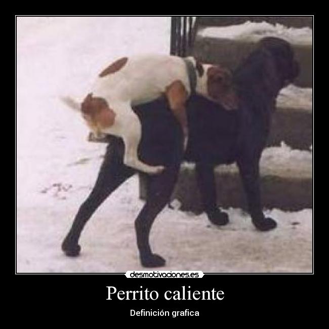 Perrito caliente - 