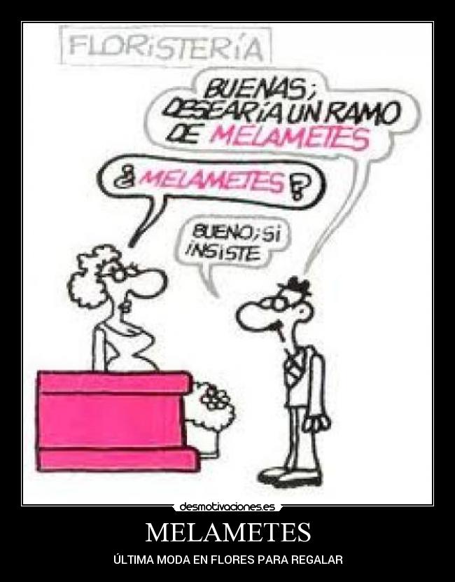 MELAMETES - ÚLTIMA MODA EN FLORES PARA REGALAR