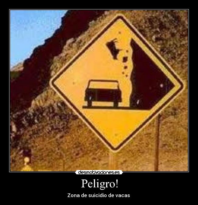 Peligro! - Zona de suicidio de vacas