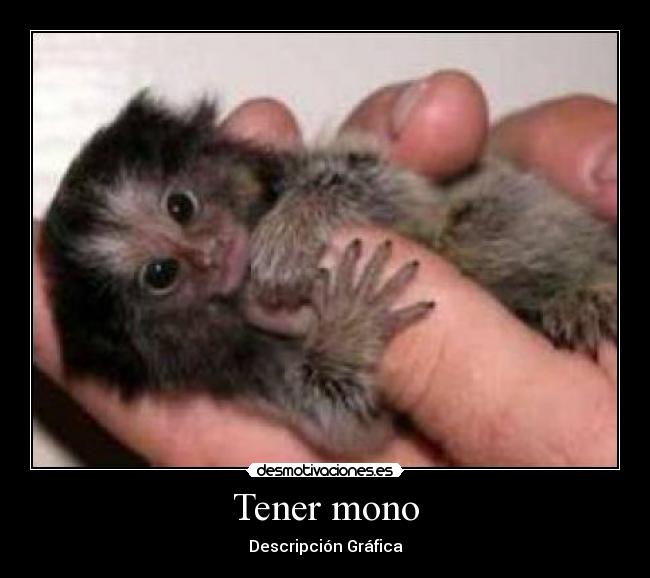 Tener mono - Descripción Gráfica