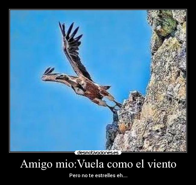 carteles yominis desmotivaciones