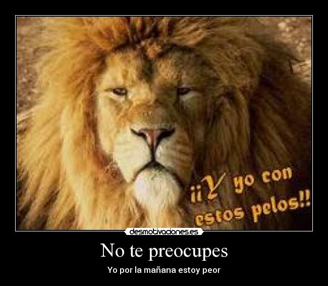 No te preocupes - 