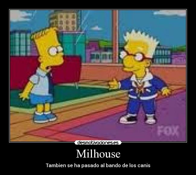 carteles milhouse cani desmotivaciones