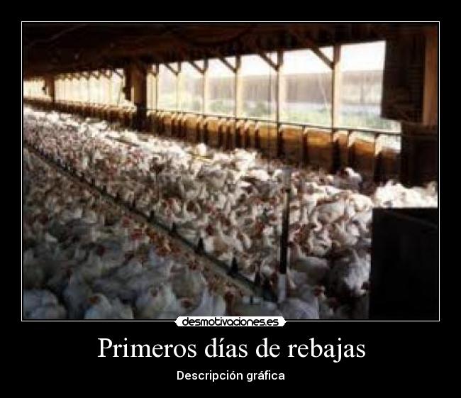 carteles  desmotivaciones