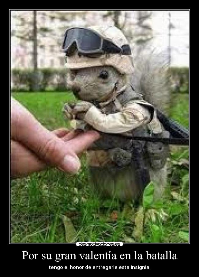 Por su gran valentía en la batalla -