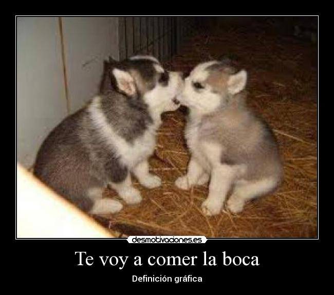Te voy a comer la boca -