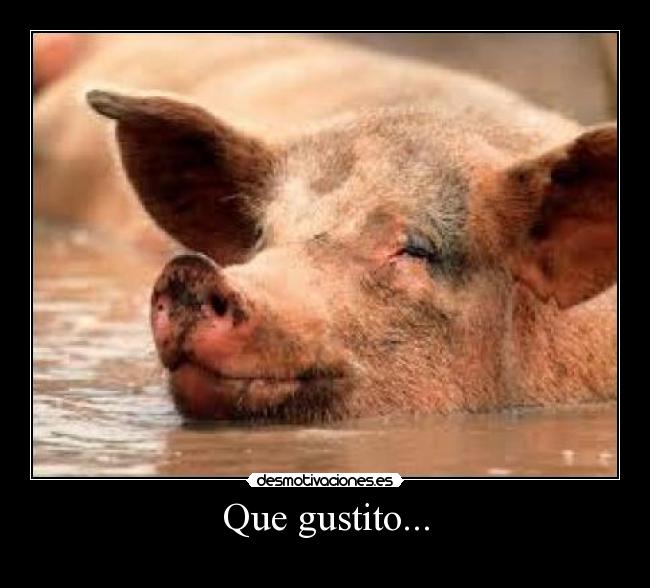 Que gustito... - 
