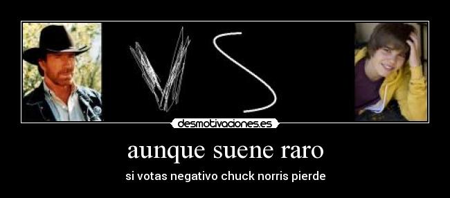 aunque suene raro - si votas negativo chuck norris pierde