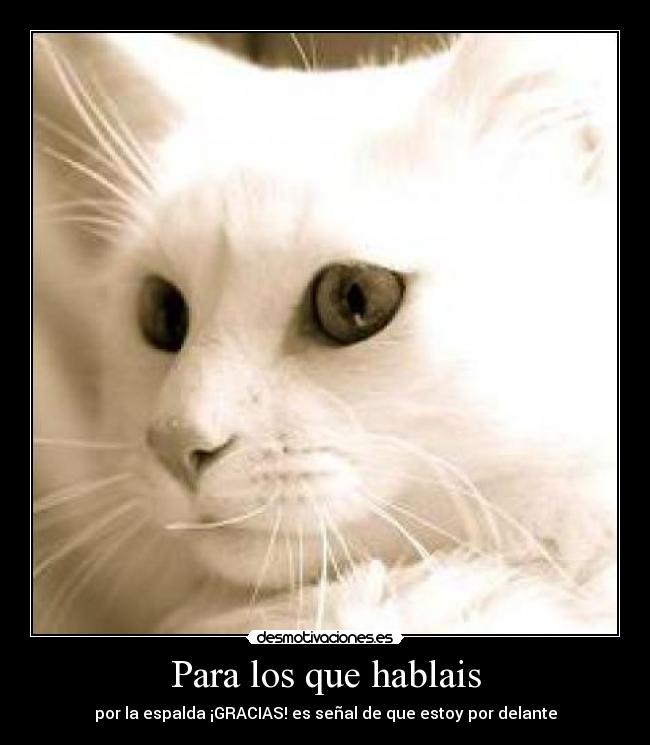 carteles dedico desmotivaciones