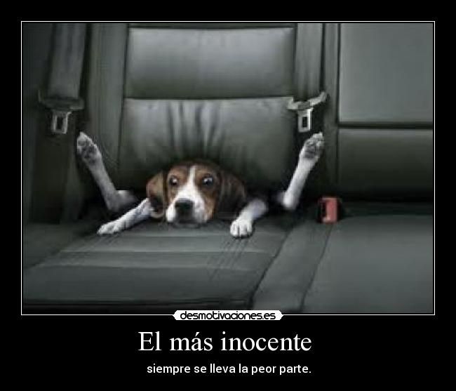 El más inocente - siempre se lleva la peor parte.