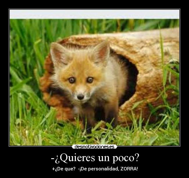 -¿Quieres un poco? - 