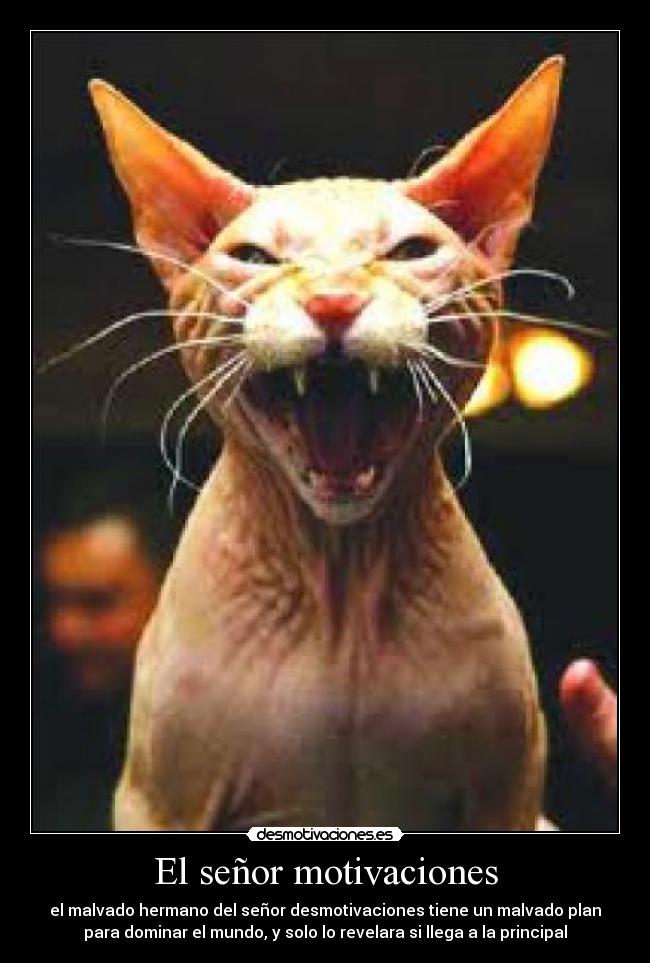 carteles motivaciones senor motivaciones malvado hermano desmotivaciones