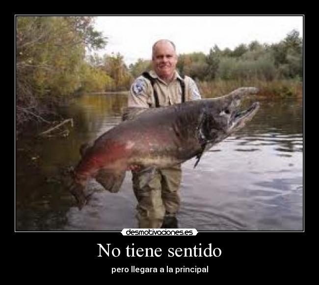 No tiene sentido -