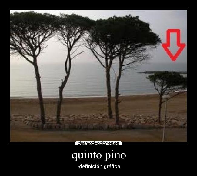 quinto pino -