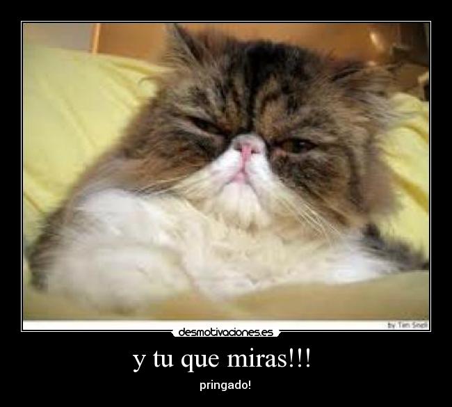 y tu que miras!!! -