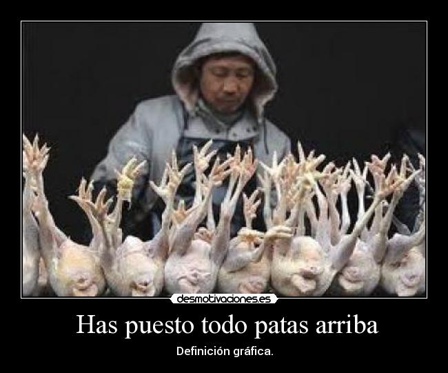 Has puesto todo patas arriba - Definición gráfica.