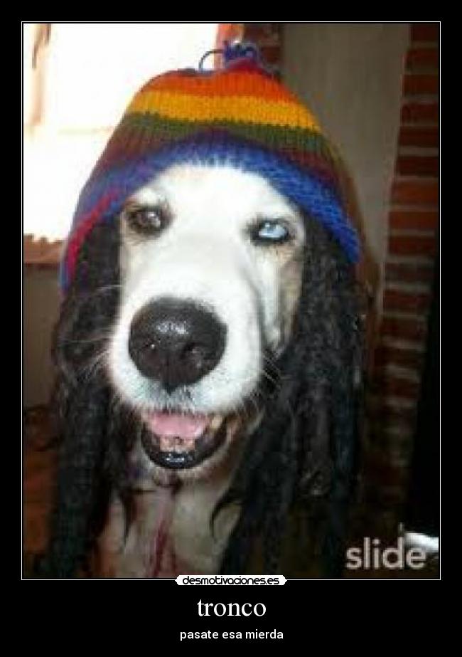 tronco - pasate esa mierda