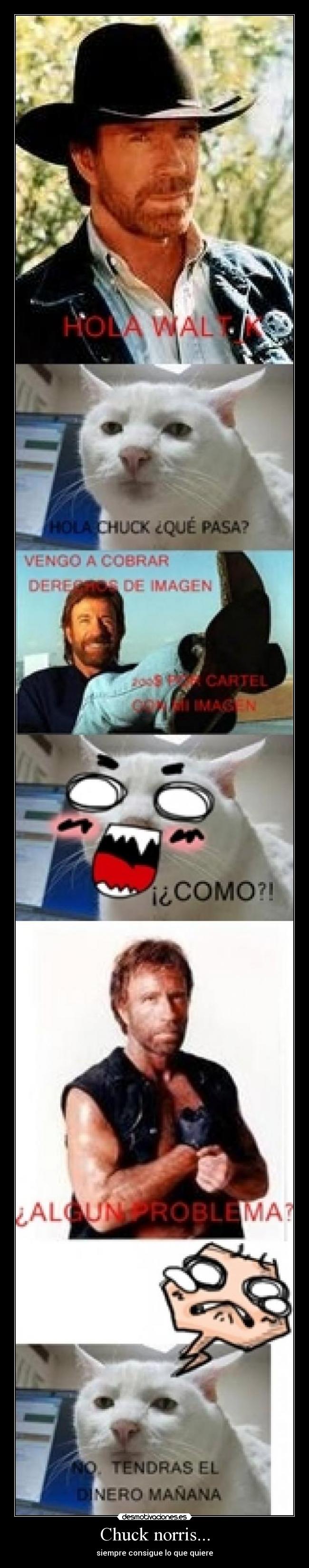 Chuck norris... - siempre consigue lo que quiere