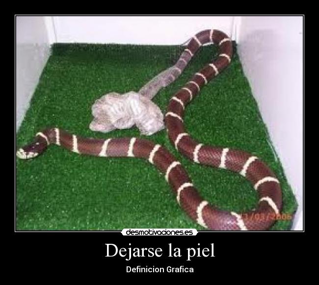 Dejarse la piel - Definicion Grafica