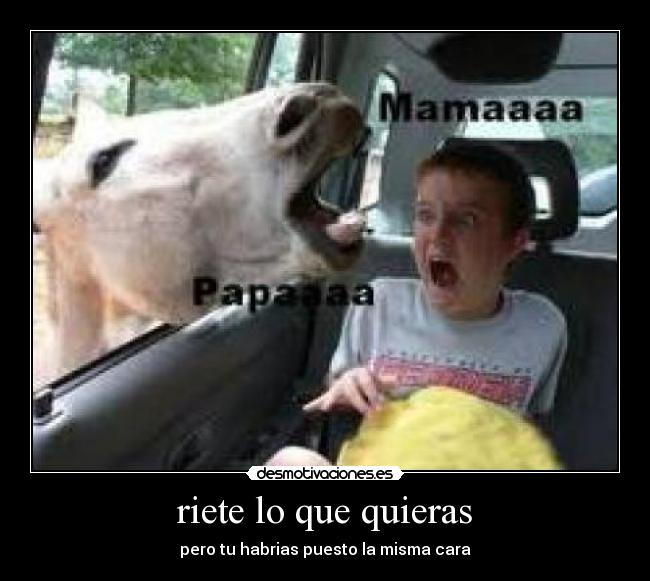 riete lo que quieras - pero tu habrias puesto la misma cara