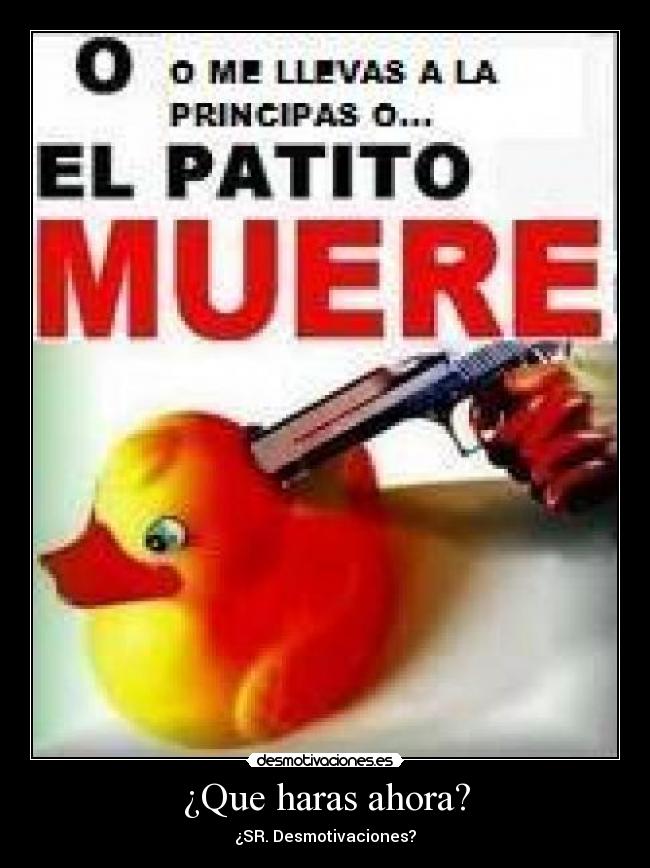 ¿Que haras ahora? -