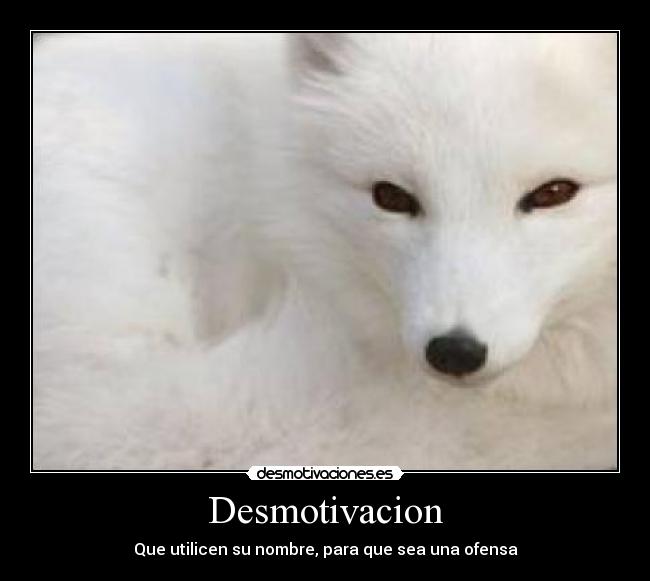 Desmotivacion - Que utilicen su nombre, para que sea una ofensa