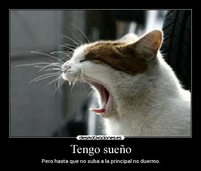 Tengo sueño - Pero hasta que no suba a la principal no duermo.