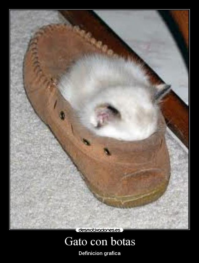 carteles gato con botas desmotivaciones