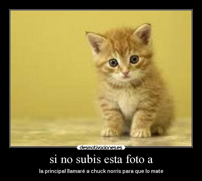 si no subis esta foto a -