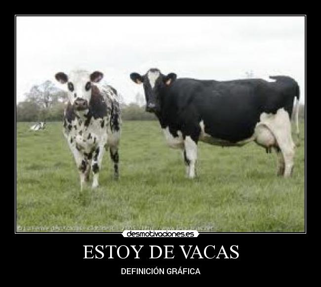 carteles vacaciones desmotivaciones